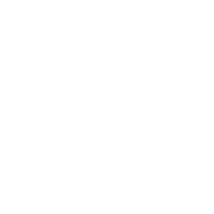 Site Selection Retail